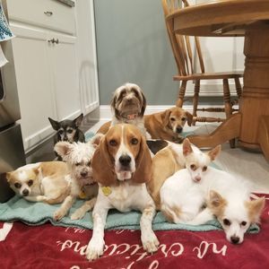 Meet your Posher, Jacob